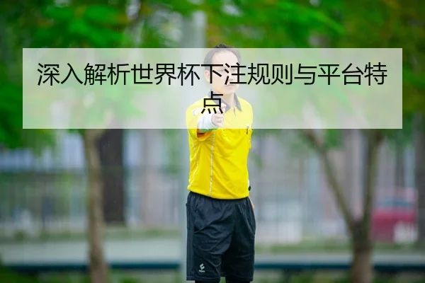 深入解析世界杯下注规则与平台特点