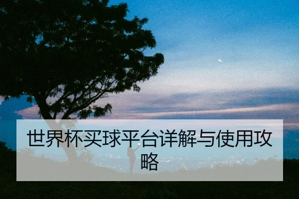 世界杯买球平台详解与使用攻略