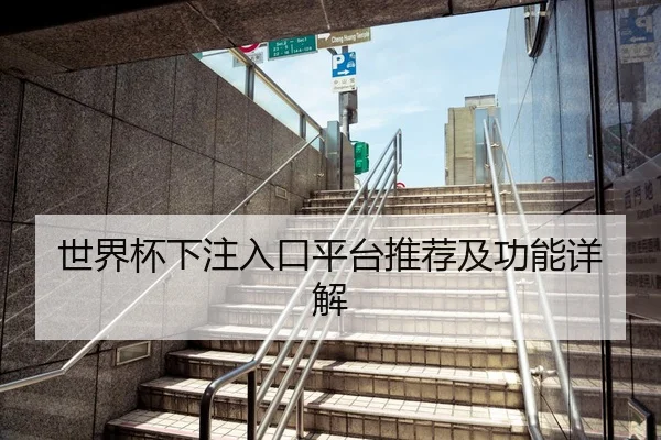 世界杯下注入口平台推荐及功能详解